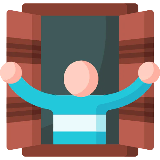 Window icon