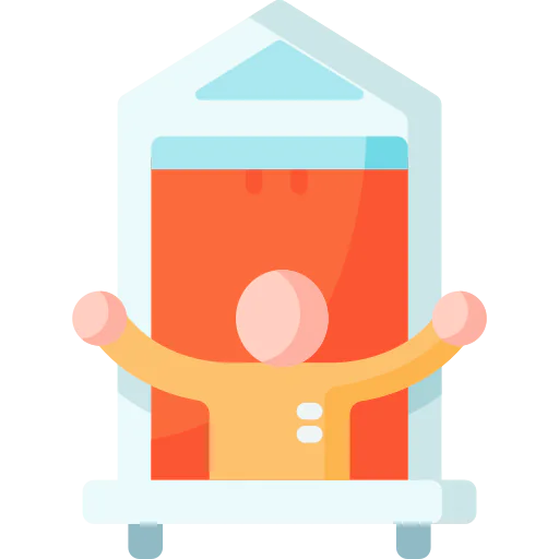 Window icon