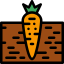 Carrot icon 64x64