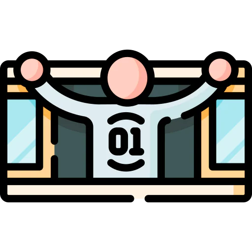 Window icon