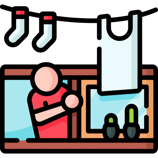 Window icon