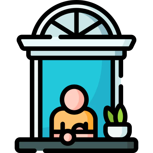 Window icon