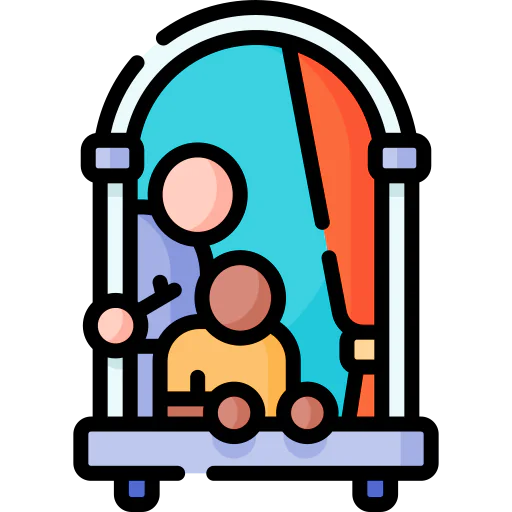 Window icon