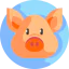 Pig icon 64x64