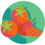 Tomato icon 64x64