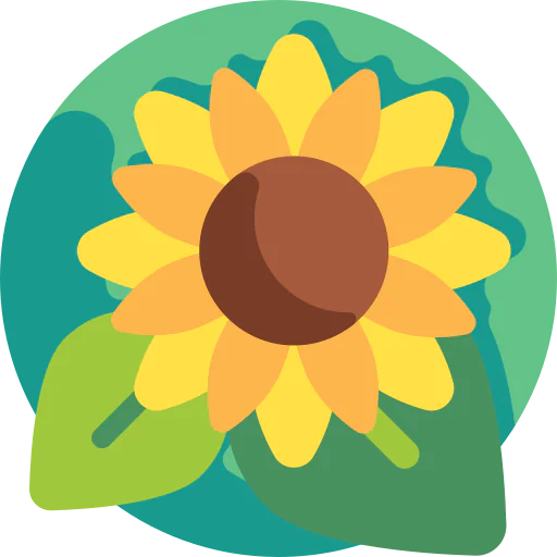 Sunflower icon