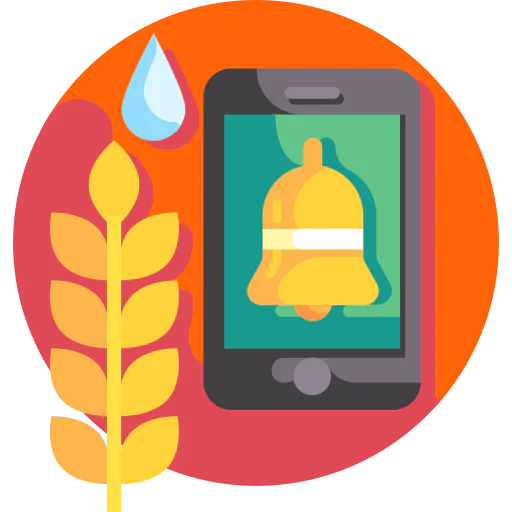 Smart icon