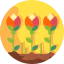 Flowers icon 64x64