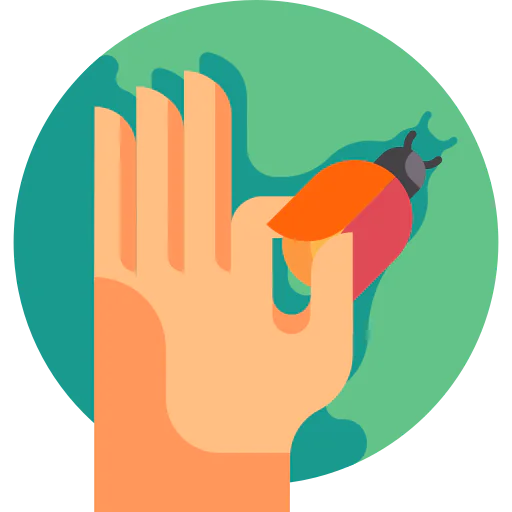 Bug icon