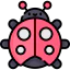Ladybug ícono 64x64