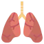 Lungs icon 64x64