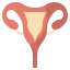 Uterus icon 64x64