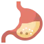 Stomach 상 64x64