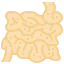 Small intestine icône 64x64