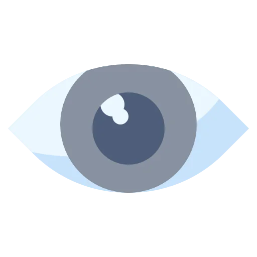 Eye icon