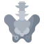 Pelvis icon 64x64