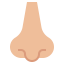 Nose Ikona 64x64