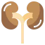Kidneys Symbol 64x64