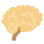 Brain icon 64x64