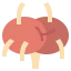 Lymph nodes Ikona 64x64