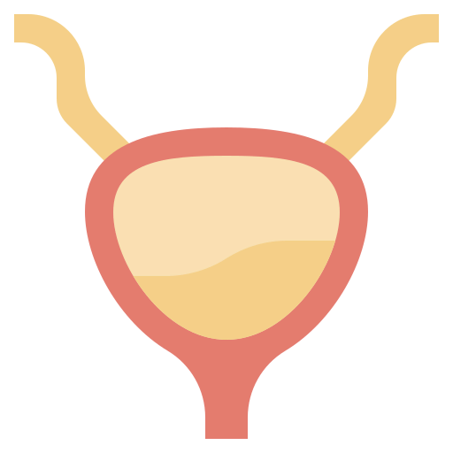 Bladder icon