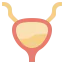 Bladder アイコン 64x64