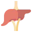 Liver Symbol 64x64