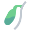 Gallbladder icon 64x64