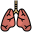 Lungs icon 64x64