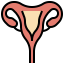 Uterus icon 64x64