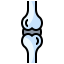 Knee joint 상 64x64