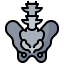 Pelvis icon 64x64
