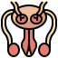 Reproductive system icon 64x64