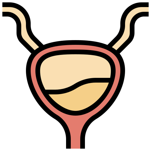 Bladder icon