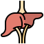 Liver Symbol 64x64