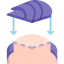 Hairpiece icon 64x64