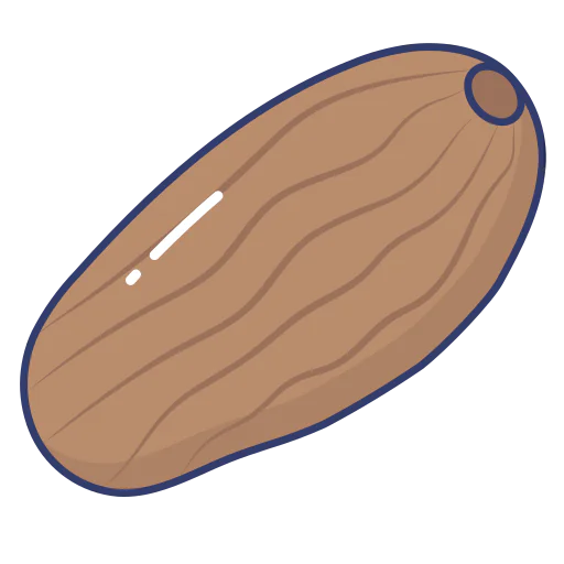 Peanut icon