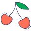 Berry icon 64x64