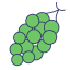 Grapes icon 64x64