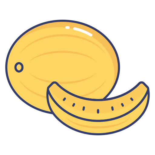 Melon icon