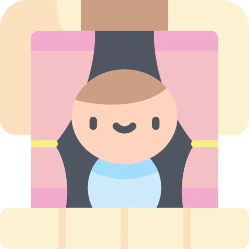 Window icon