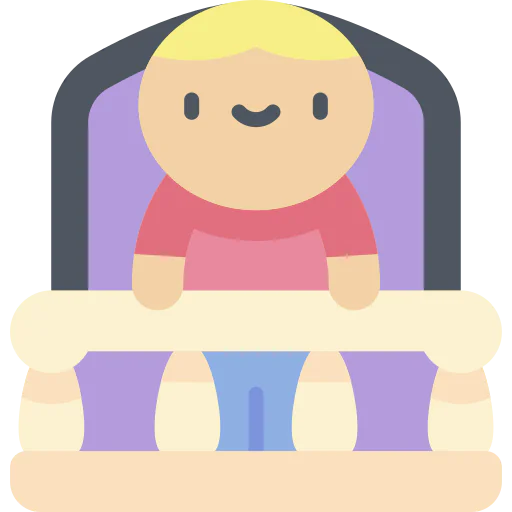 Window icon