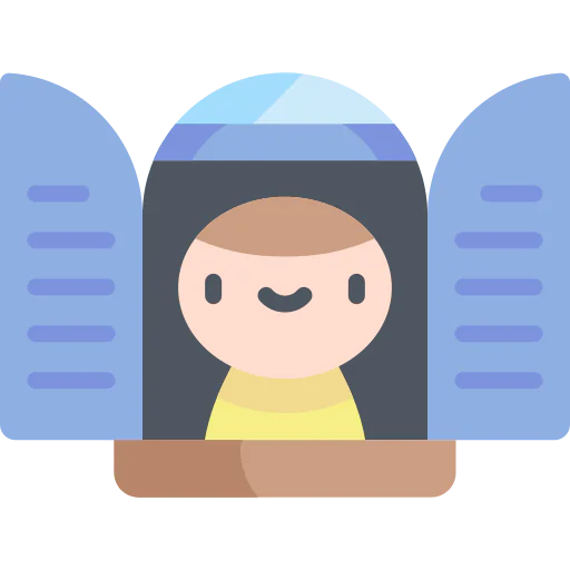 Window icon