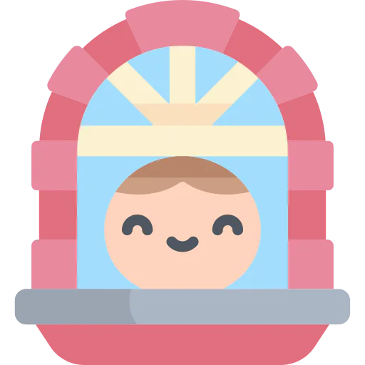 Window icon