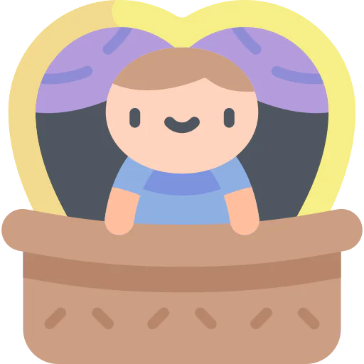 Window icon