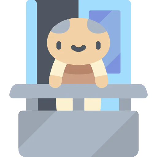 Window icon