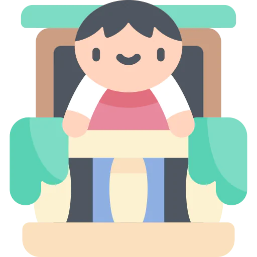 Window icon