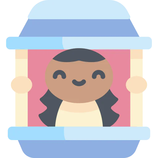 Window icon