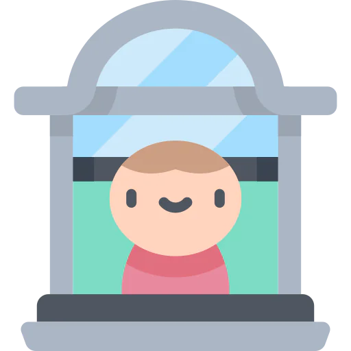 Window icon
