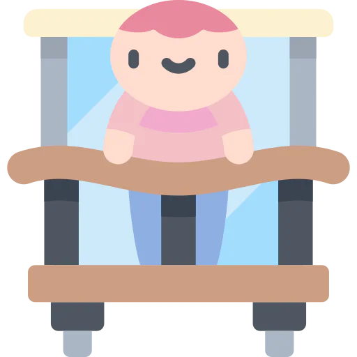 Window icon